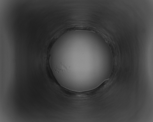 X0000100900376200806241035