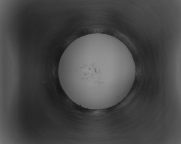 X0000100900382200806241035
