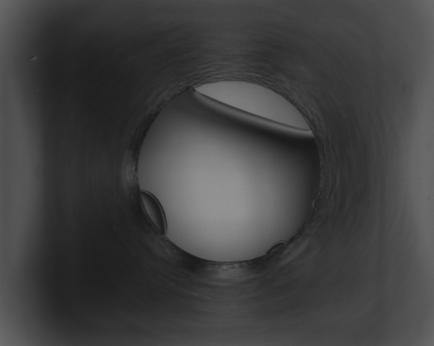 X0000100900384200806241035