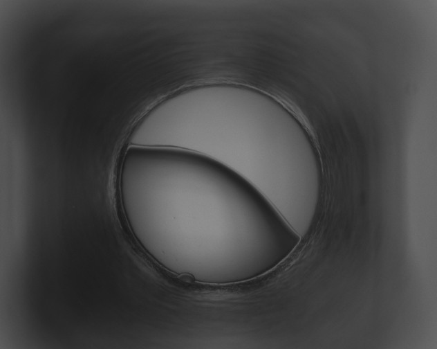X0000100900389200806241035
