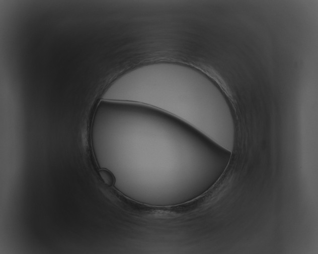 X0000100900393200806241035