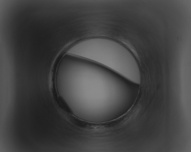X0000100900395200806241035