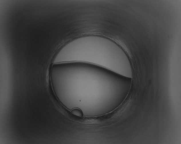 X0000100900397200806241035