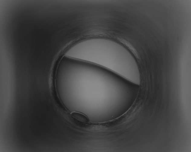 X0000100900399200806241035