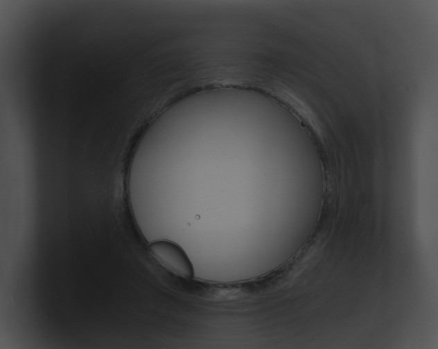 X0000100900401200806241035