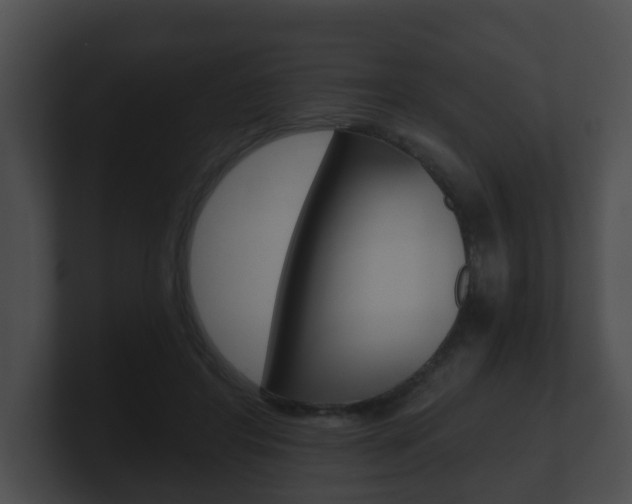 X0000100900404200806241034