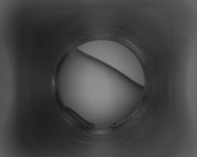 X0000100900405200806241034