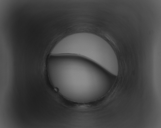 X0000100900407200806241034