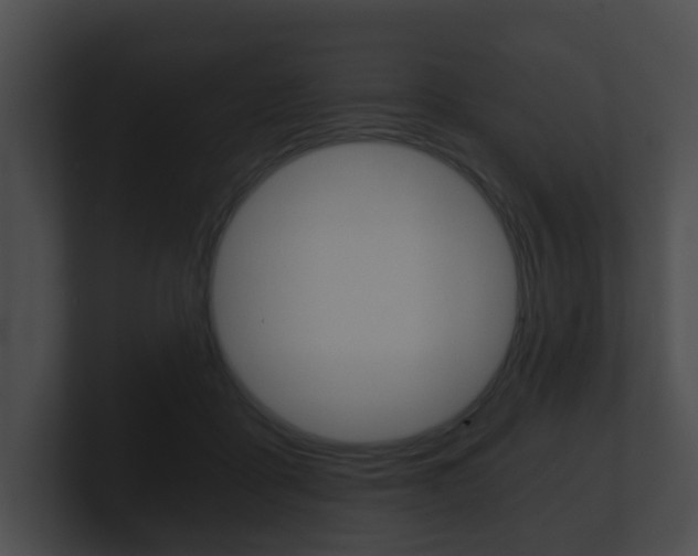 X0000100900411200806241034