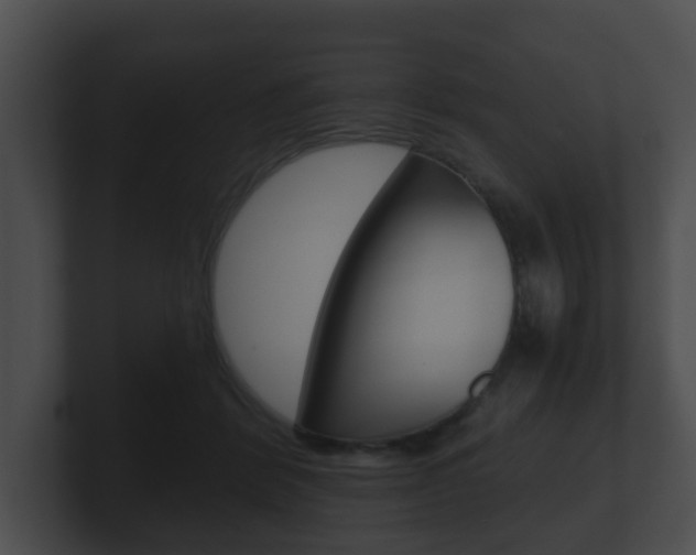 X0000100900412200806241034