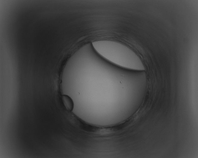 X0000100900413200806241034