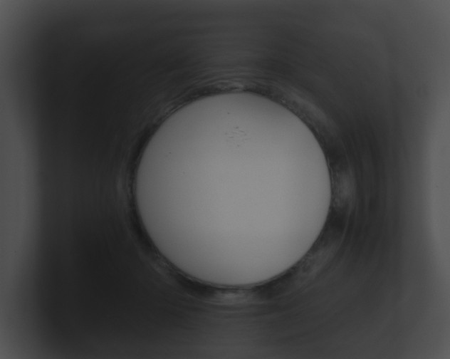 X0000100900414200806241034