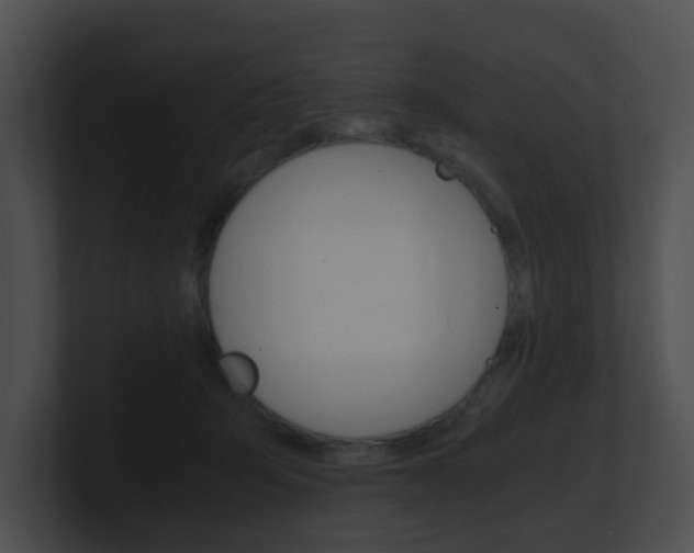 X0000100900415200806241034