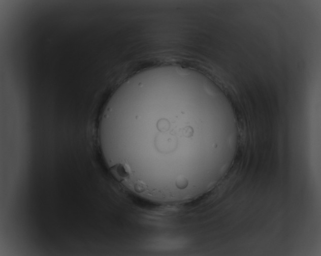 X0000100900418200806241034