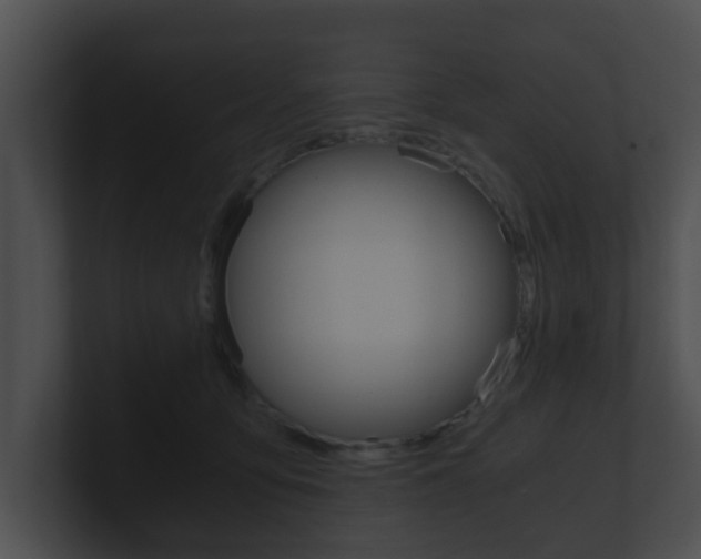 X0000100900419200806241034