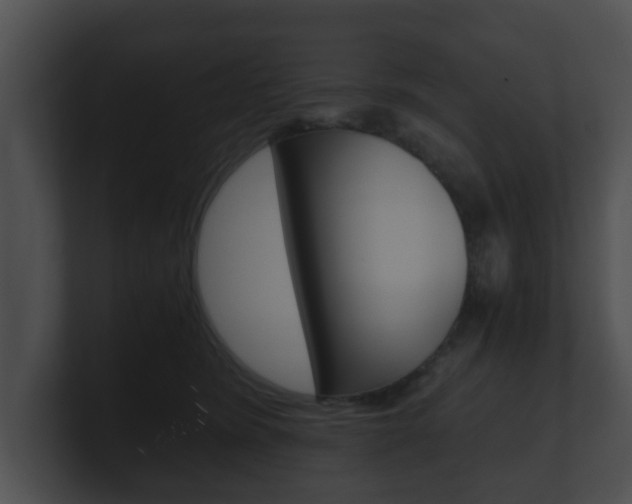 X0000100900420200806241034