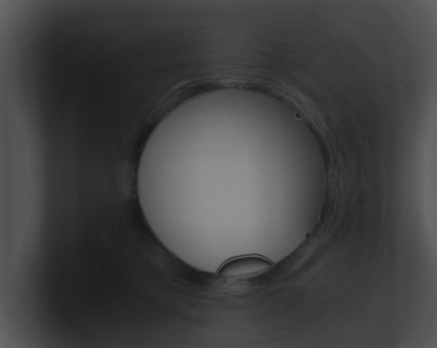 X0000100900421200806241034