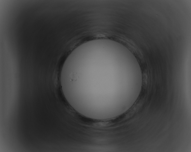 X0000100900422200806241034