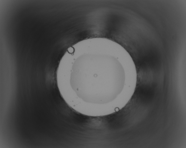 X0000100900423200806241034