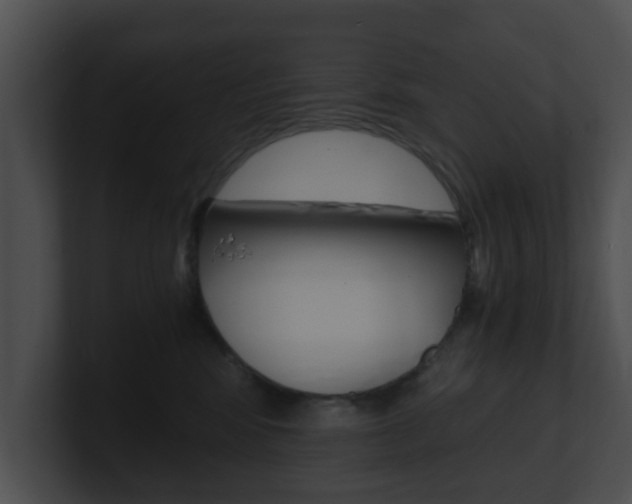 X0000100900424200806241034