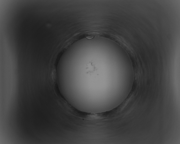 X0000100900425200806241034