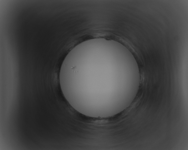 X0000100900426200806241034