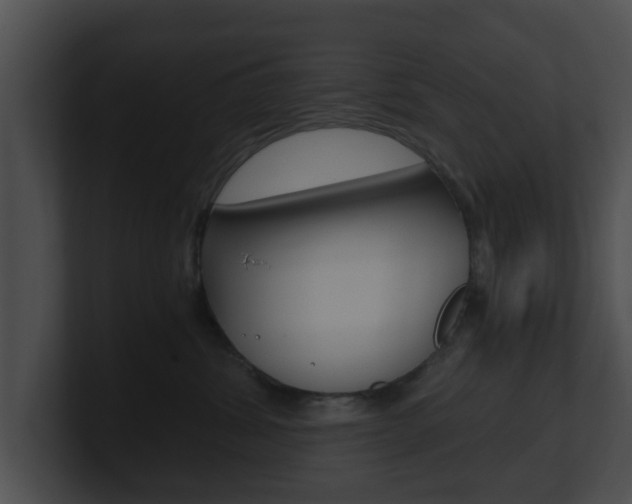 X0000100900428200806241034