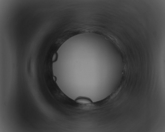 X0000100900429200806241034