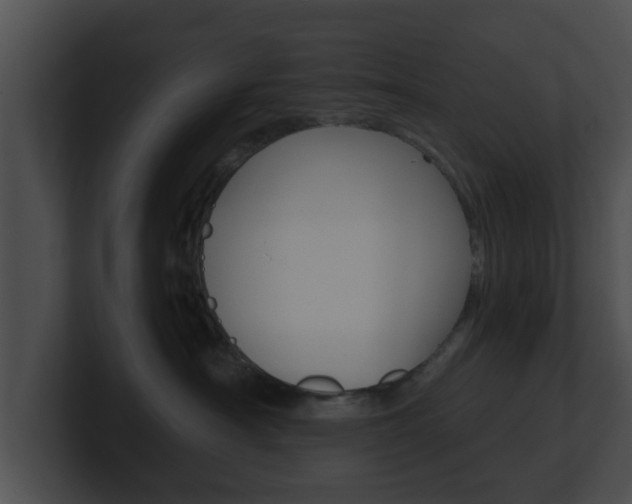 X0000100900430200806241034
