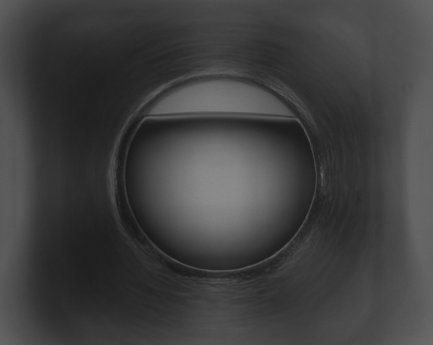 X0000100900436200806241034