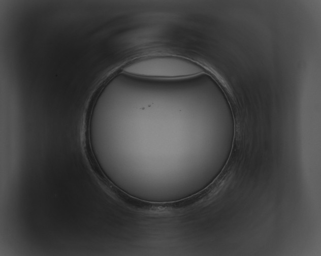 X0000100900437200806241034