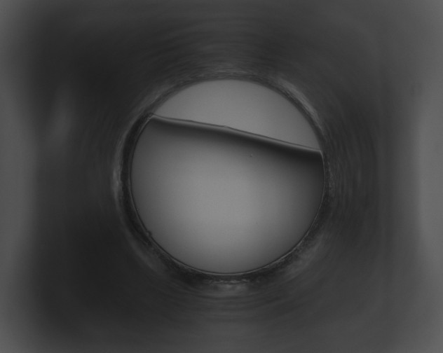 X0000100900443200806241034