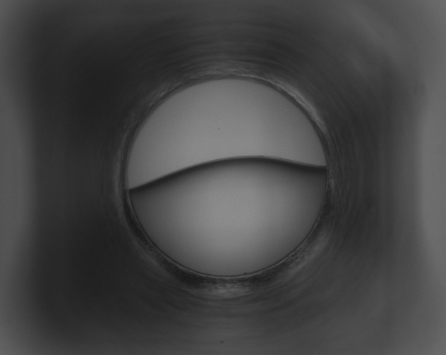 X0000100900445200806241034