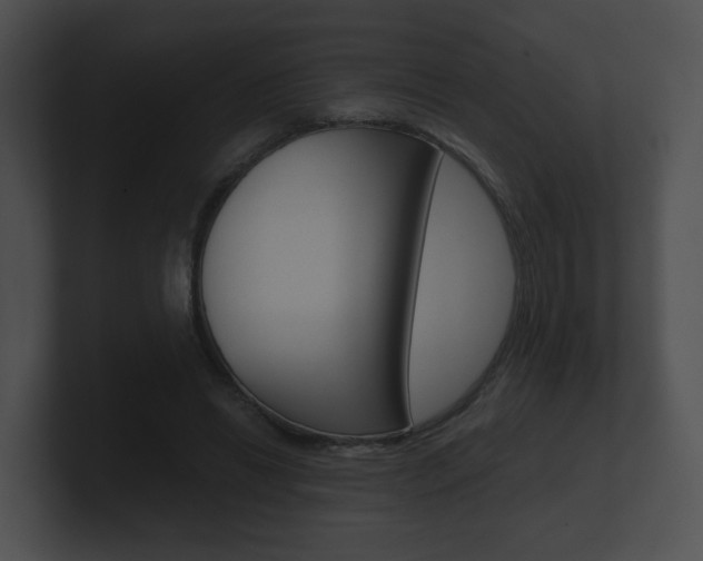 X0000100900446200806241034