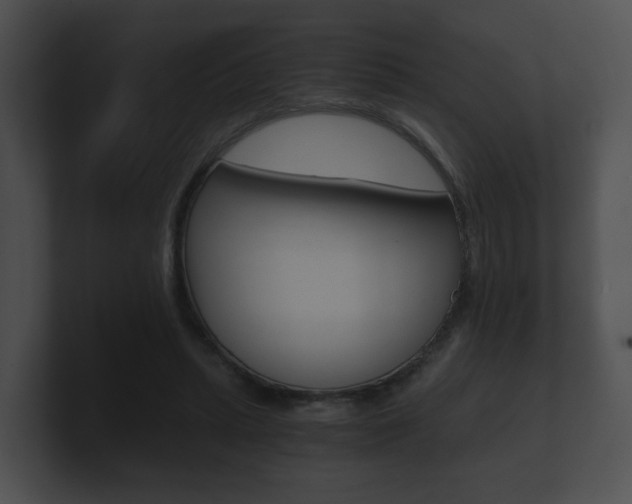 X0000100900447200806241034