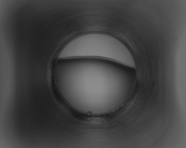 X0000100900448200806241034