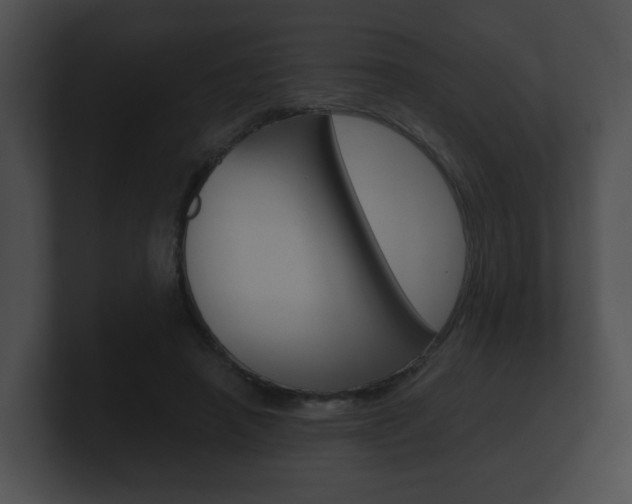 X0000100900450200806241034