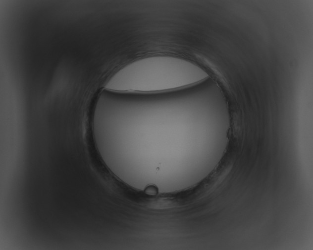 X0000100900451200806241034