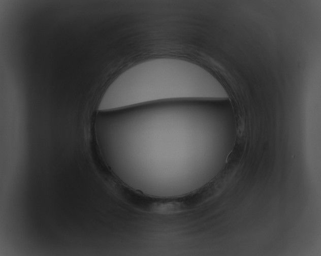 X0000100900452200806241034