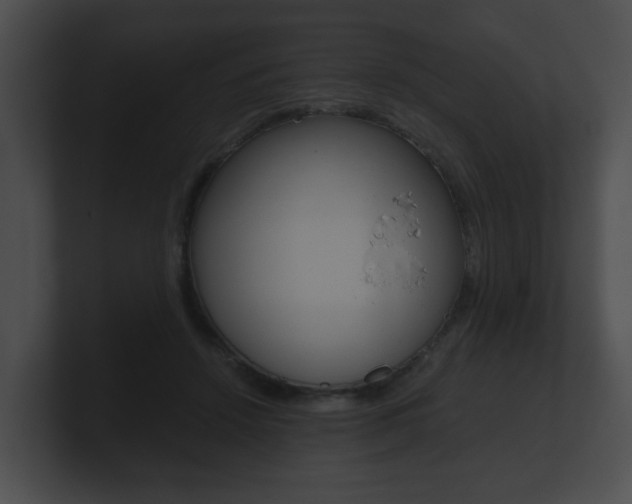 X0000100900456200806241034