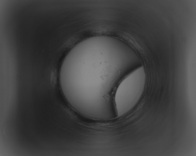 X0000100900458200806241034