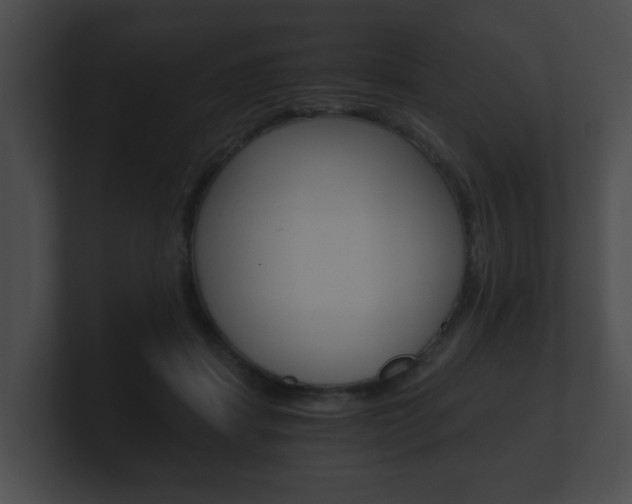 X0000100900459200806241034