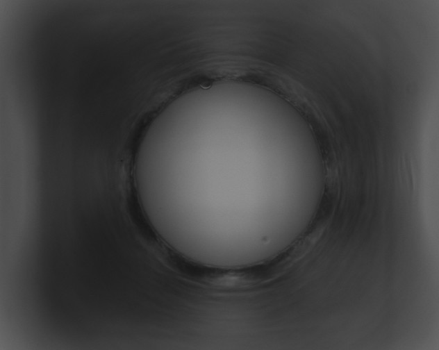 X0000100900460200806241034