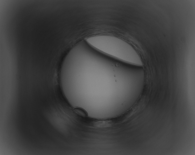 X0000100900465200806241034
