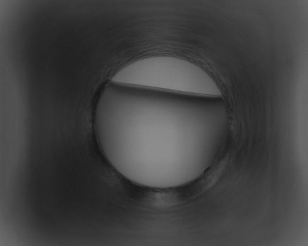X0000100900466200806241034