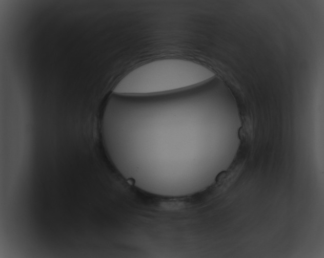X0000100900470200806241034