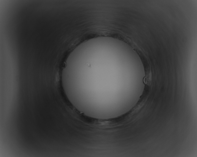 X0000100900472200806241034
