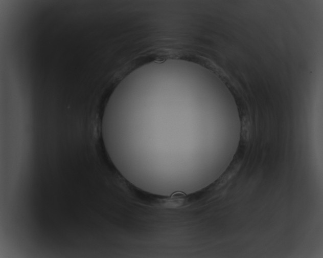 X0000100900474200806241034