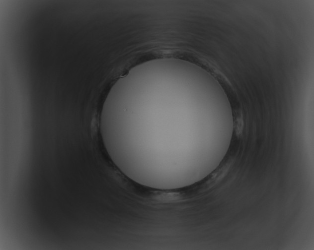X0000100900476200806241034