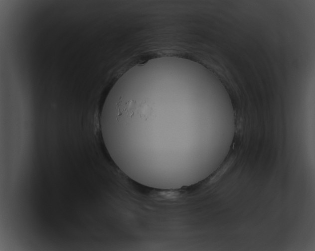 X0000100900478200806241034